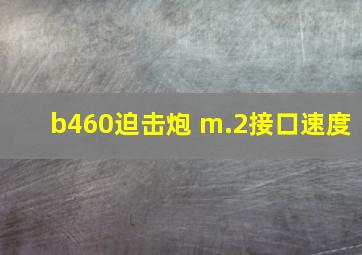 b460迫击炮 m.2接口速度